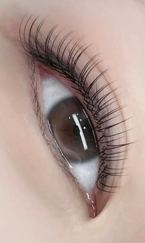 まつ毛が乾燥しない事が冬は大切！