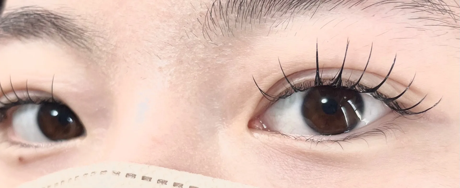 パリエク パーマ+フラットラッシュ